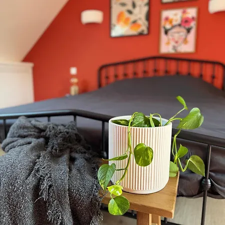 Loft House In Historic Center