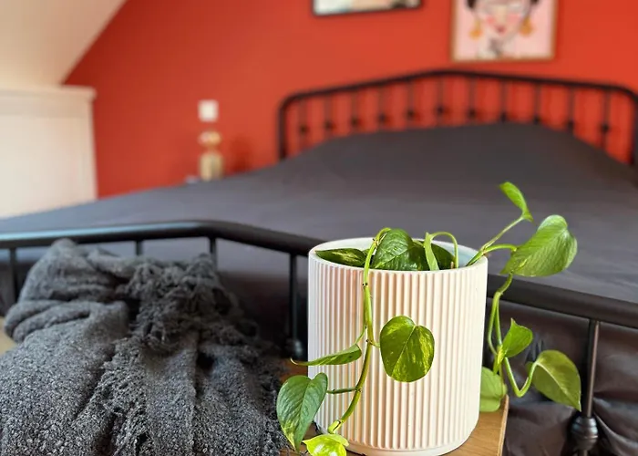 Loft House In Historic Center